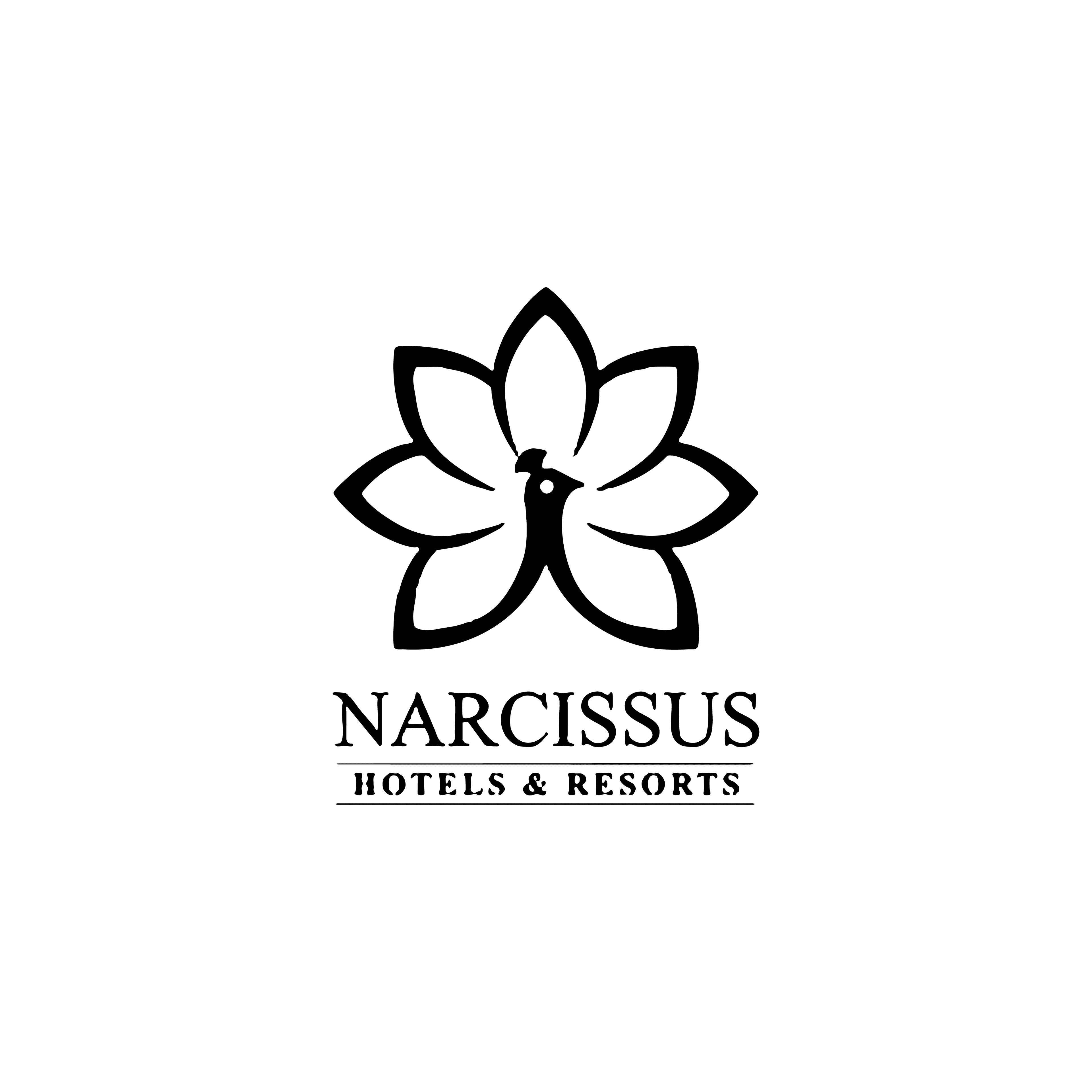 NARCISSUS