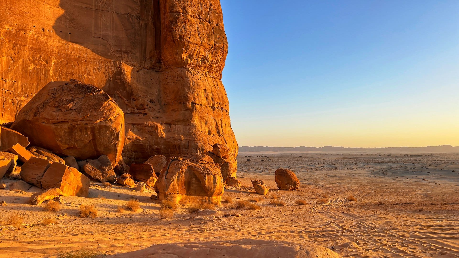 تجارب مصممة بدقة